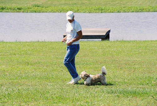 Certified Dog Trainer