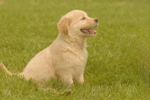 Establish a Consistent Routine