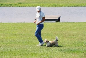 Shelly bell dog trainer