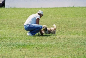 Shelly Bell dog training