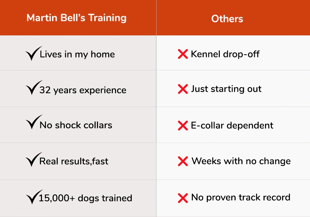 image-for-website-for-manish-sir_1 benefits of choosing martin bell