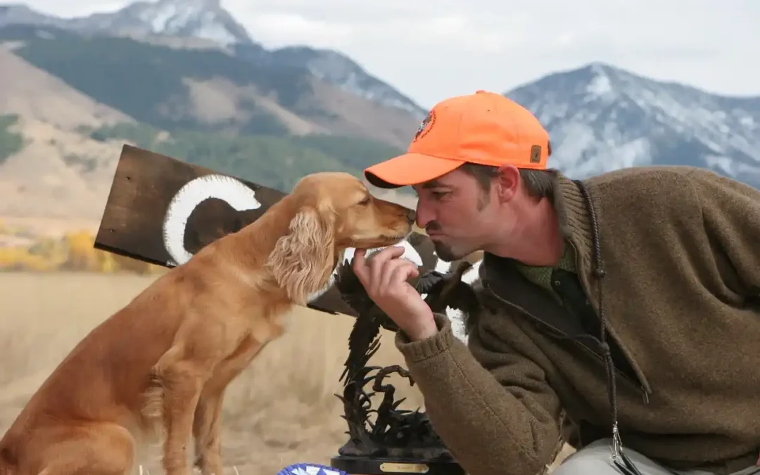 How to Choose the Right Dog Trainer Near You